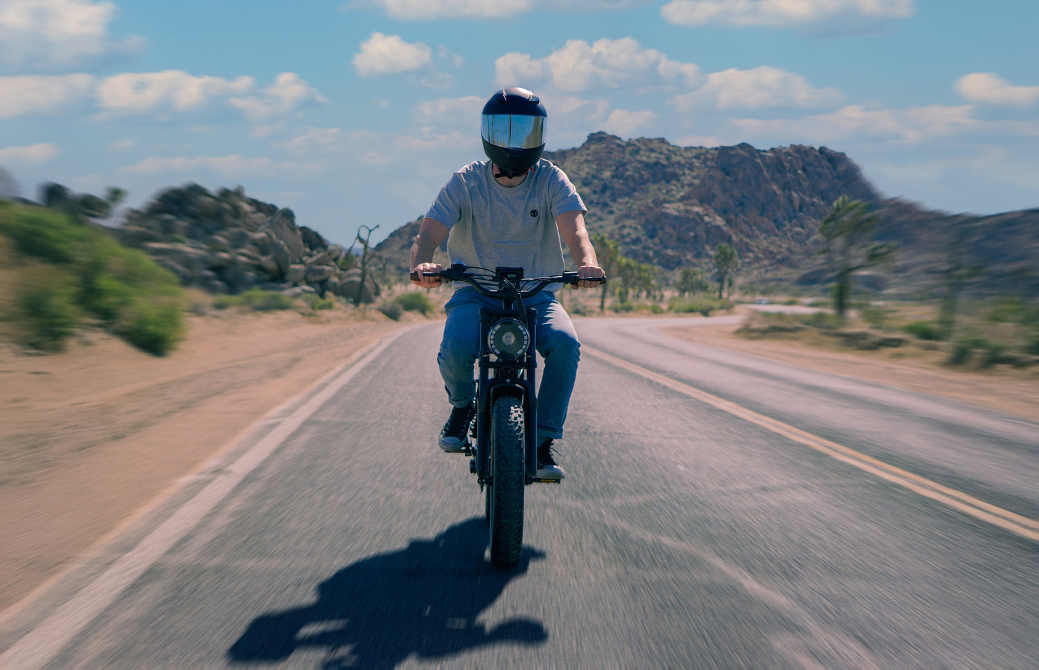 REVR OFF-ROAD ELECTRIC BIKE